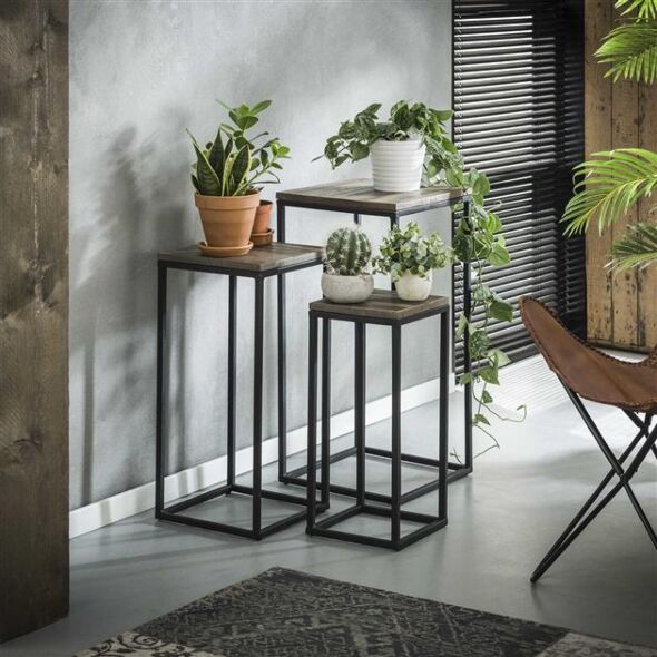 Plantentafel Teca, set van 3
