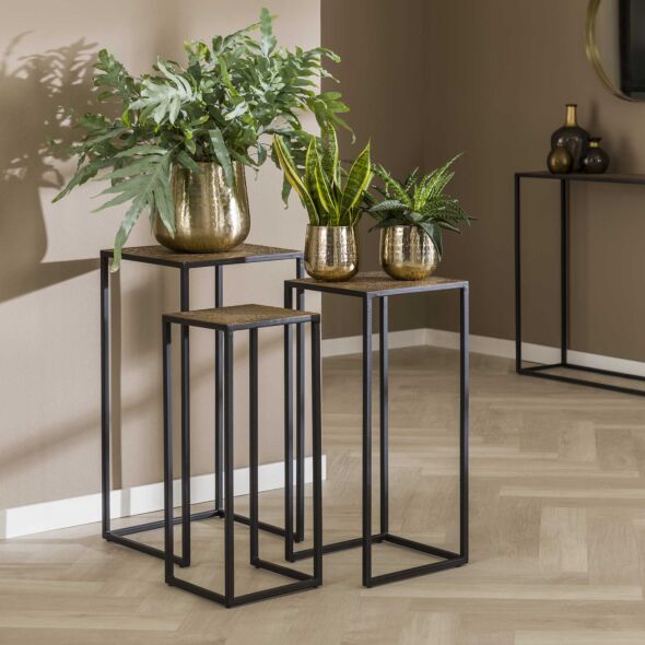 Plantentafel Iron Metallic, set van 3
