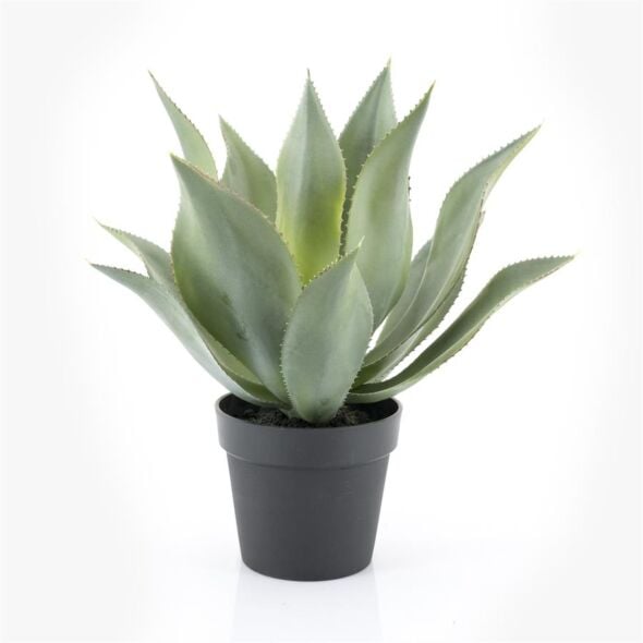 Kunstplant Agave L