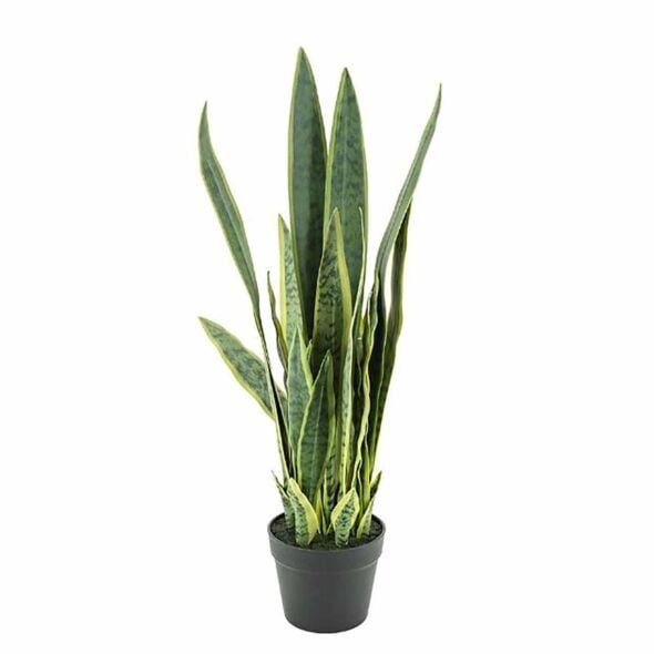 Sanseveria Kunstplant S 2 ST.