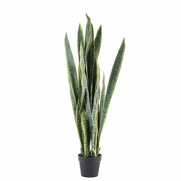 Sanseveria Kunstplant L 2 ST.