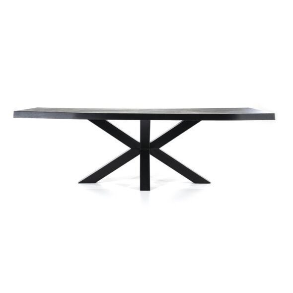 Boomstamtafel met spinpoot zwart 240x100