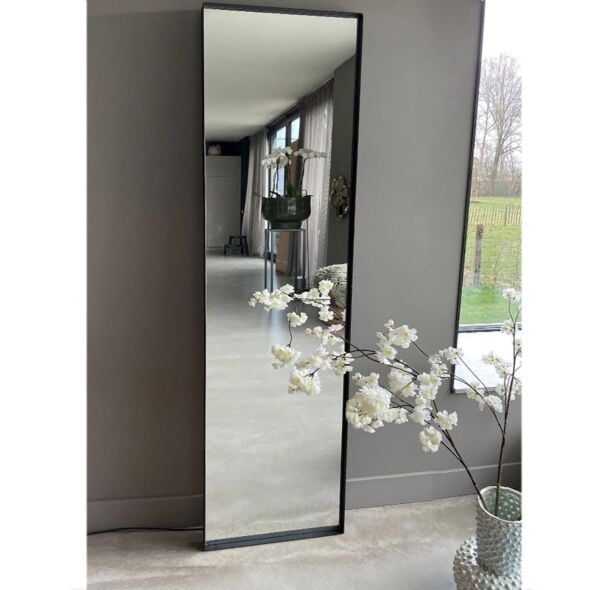 Spiegel Mara 55x195