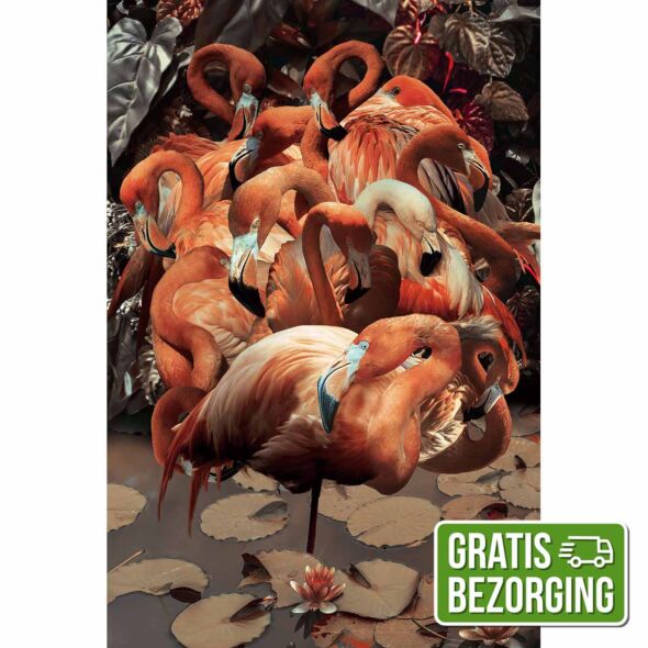 Glasschilderij Flamingo 80x120