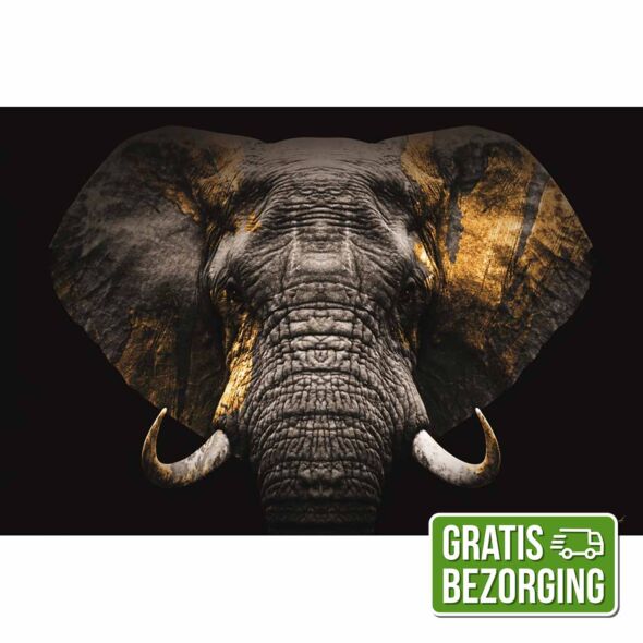 Glasschilderij Elephant Gold 120x80