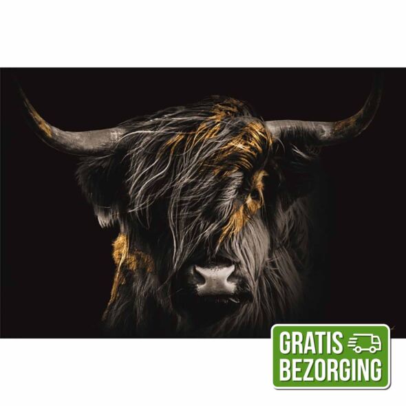 Glasschilderij Buffel 160x110