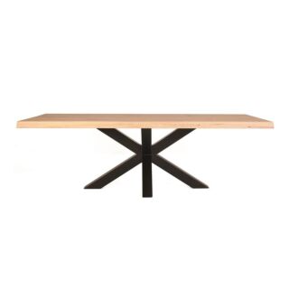 Boomstamtafel met spinpoot 240x100